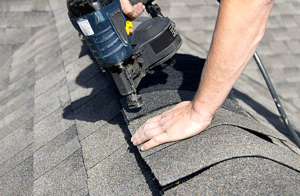 Best Roof Ventilation Installation  in Princeton, IL