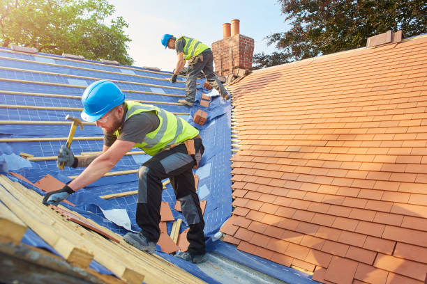 Best Roofing for New Construction  in Princeton, IL